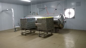 食品厂转型良机 咸蛋厂整线设备打包转让，含锅炉、杀菌锅、洗蛋机等